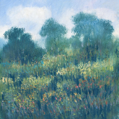 Picture of MEADOW WILDFLOWERS II