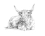 Picture of HIGHLAND CATTLE SKETCH I