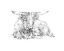 Picture of HIGHLAND CATTLE SKETCH II