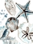 Picture of CERULEAN SEASHELLS I