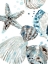 Picture of CERULEAN SEASHELLS II