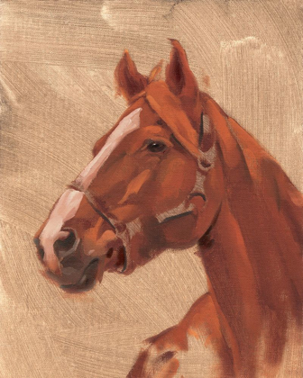 Picture of THOROUGHBRED I