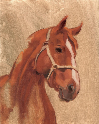 Picture of THOROUGHBRED II