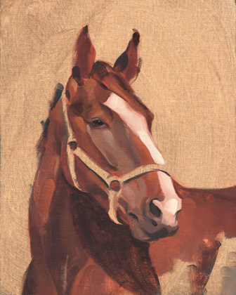 Picture of THOROUGHBRED IV