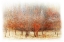 Picture of ROW OF RED TREES
