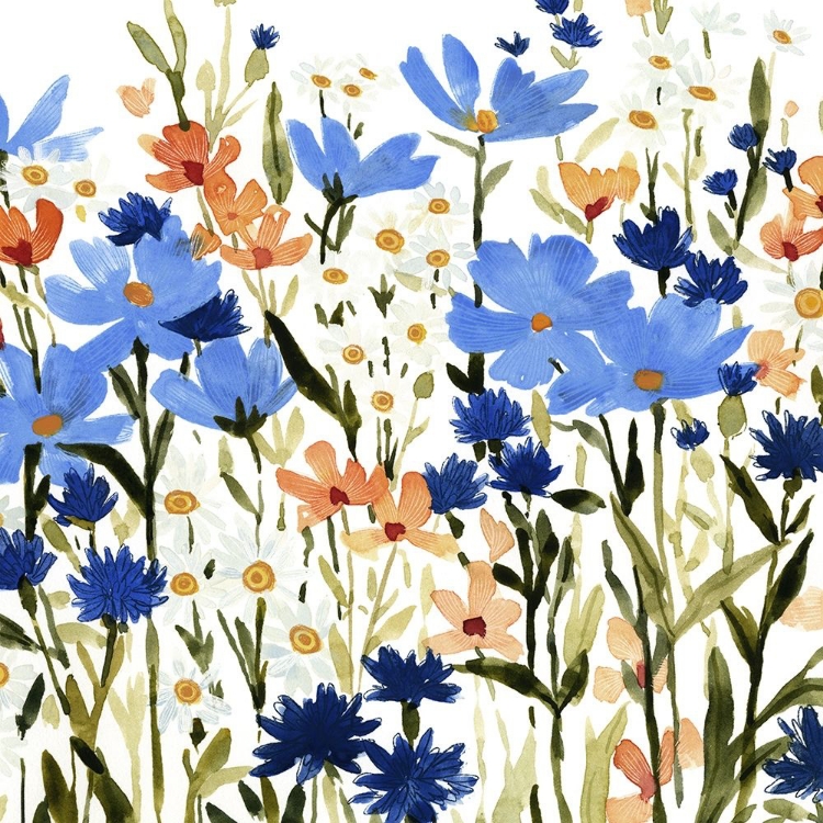 Picture of BRIGHT WILDFLOWER MEDLEY III