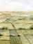 Picture of FLATLANDS II