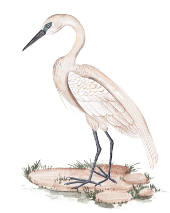 Picture of A WHITE HERON I