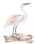 Picture of A WHITE HERON II