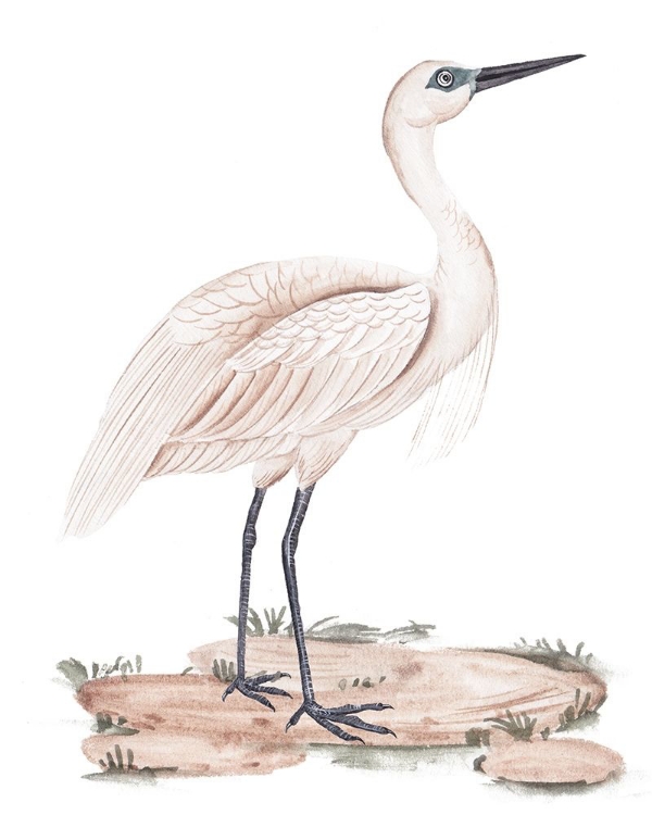 Picture of A WHITE HERON II