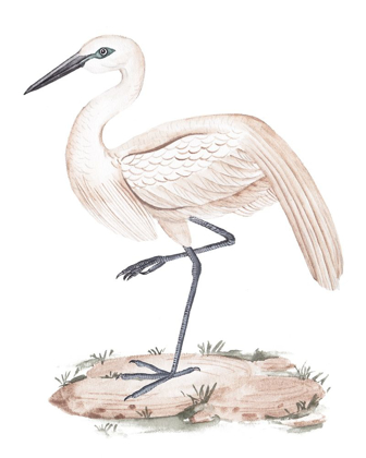 Picture of A WHITE HERON III