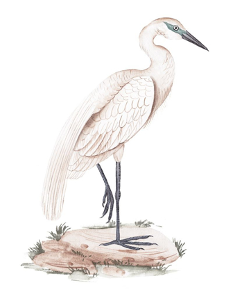 Picture of A WHITE HERON IV