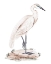 Picture of A WHITE HERON IV