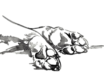 Picture of LINEAR PAWS I