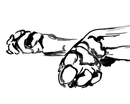Picture of LINEAR PAWS II