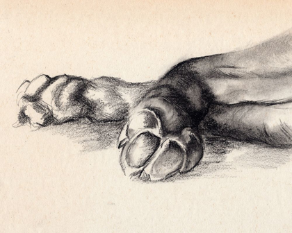 Picture of CHARCOAL PAWS I