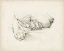 Picture of PUPPY NAP I