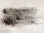 Picture of SCRIBBLE ABSTRACTS I