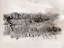 Picture of SCRIBBLE ABSTRACTS II