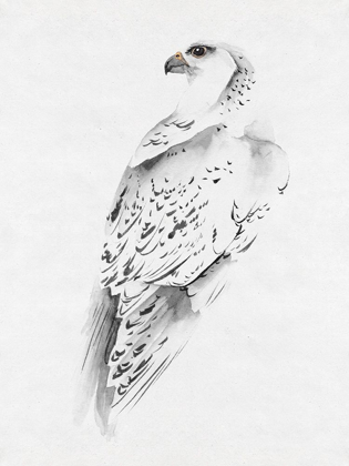 Picture of GYRFALCON I