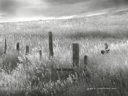 Picture of FENCE LINE FLIGHT II