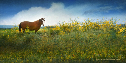 Picture of HORSE IN FLOWERS I