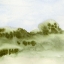 Picture of SUMMER DREAMSCAPE I