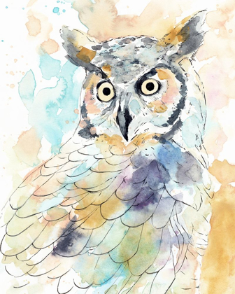 Picture of OWL MAJESTIC II