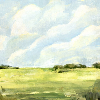 Picture of OPEN FIELDS I