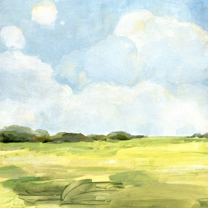 Picture of OPEN FIELDS II