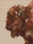 Picture of TILED BISON II