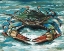 Picture of BLUE PALETTE CRAB II