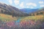 Picture of MOUNTAIN PASS II