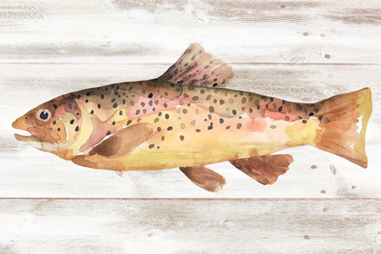 Picture of SPOTTED TROUT I
