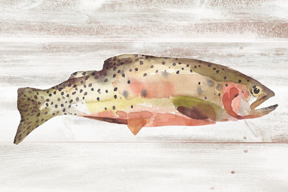 Picture of SPOTTED TROUT II