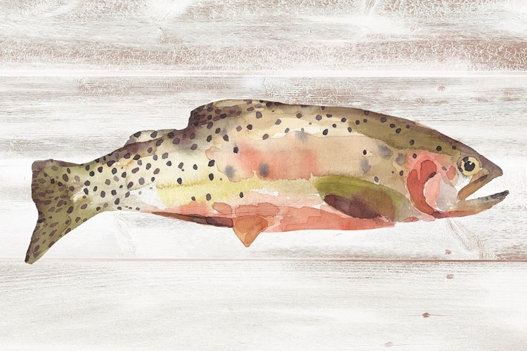 Picture of SPOTTED TROUT II