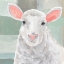 Picture of COTTON BALL II