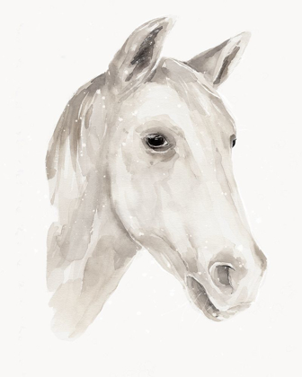 Picture of IVORY STALLION I
