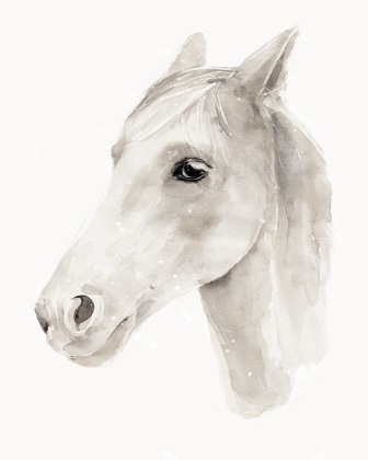 Picture of IVORY STALLION II
