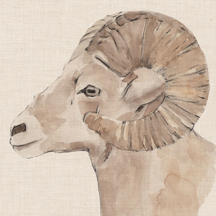 Picture of BIGHORN PROFILE I