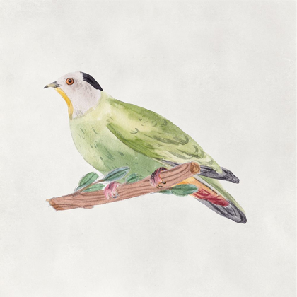 Picture of BIRD SKETCH III