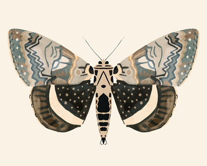 Picture of NEUTRAL MOTH I