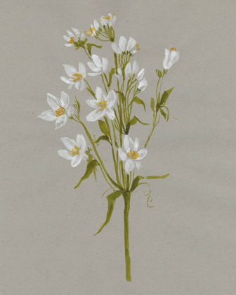 Picture of WHITE FIELD FLOWERS II