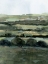 Picture of DISTANT RIBBONS I