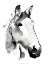 Picture of WHITE STALLION I