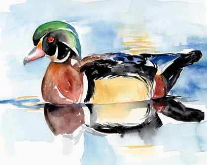 Picture of WATERCOLOR WOODDUCK I