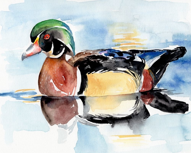 Picture of WATERCOLOR WOODDUCK I