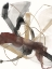 Picture of BURGUNDY INTERJECTION I