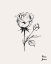 Picture of ANNUAL FLOWERS VI