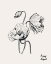 Picture of ANNUAL FLOWERS VIII